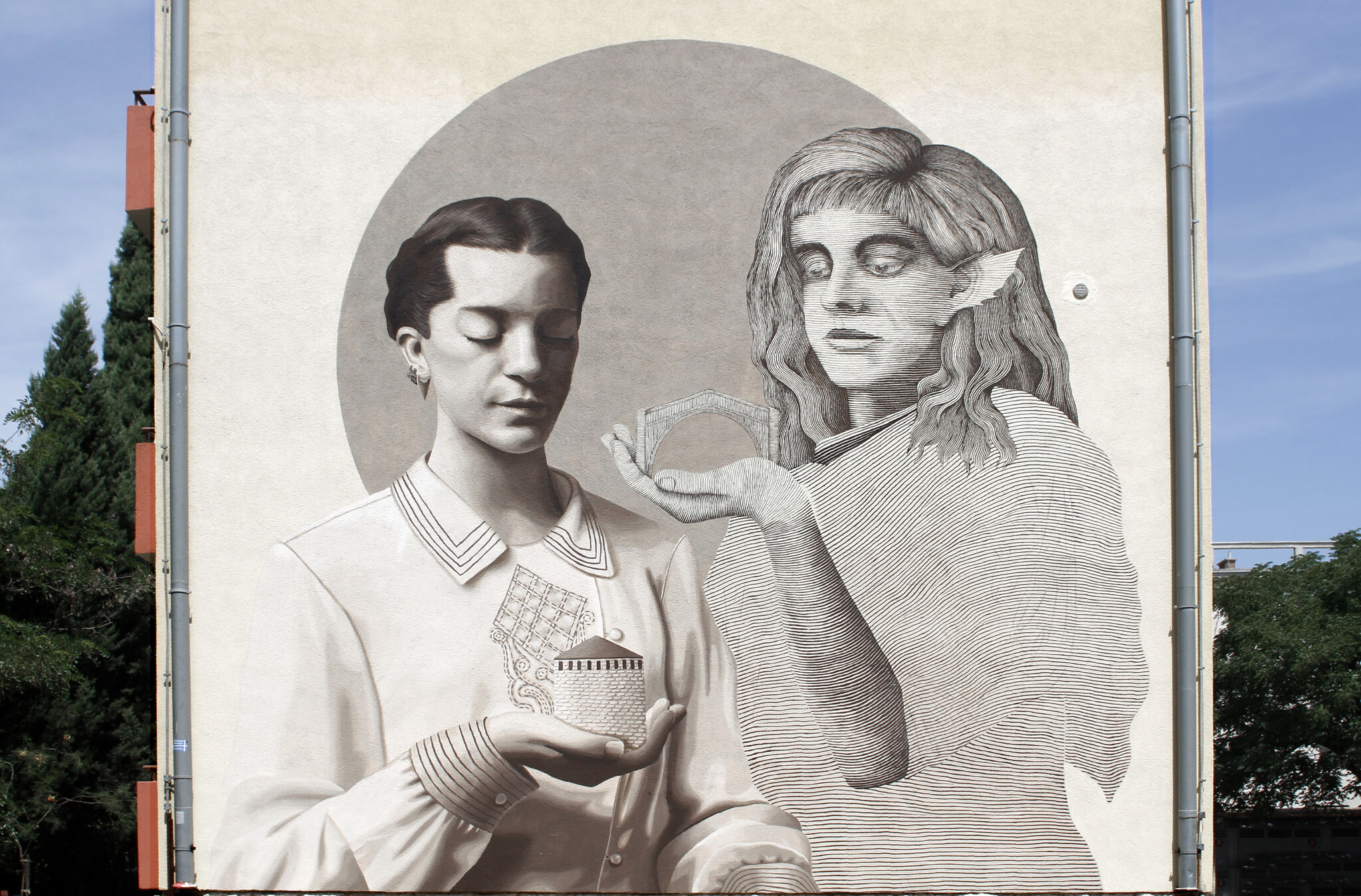 Alfalfa, Colectivo Licuado&mdash;Untitled