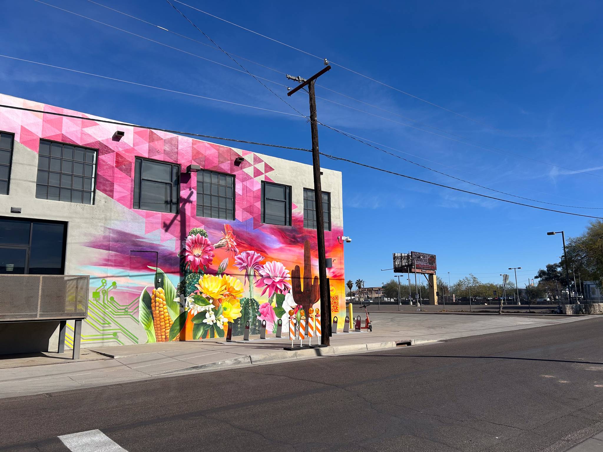 Miguel Angel Godoy, Chris vena&mdash;#webPTmural