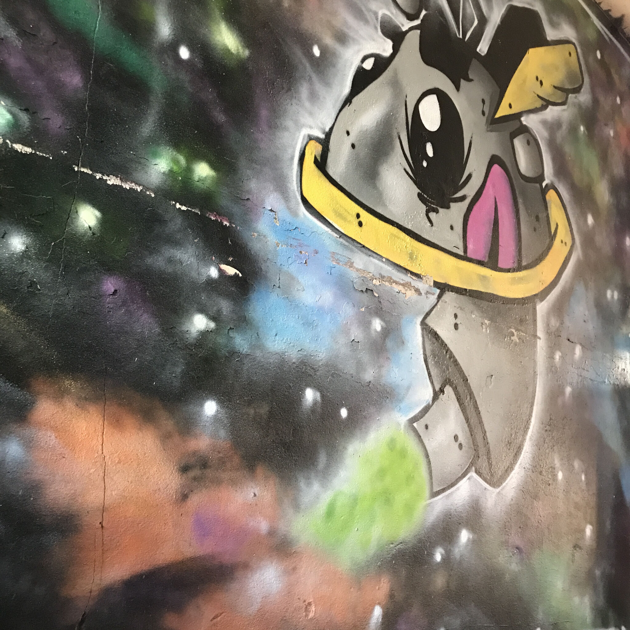 Goya Torres, Metzican&mdash;Castle Road Street Art Gallery