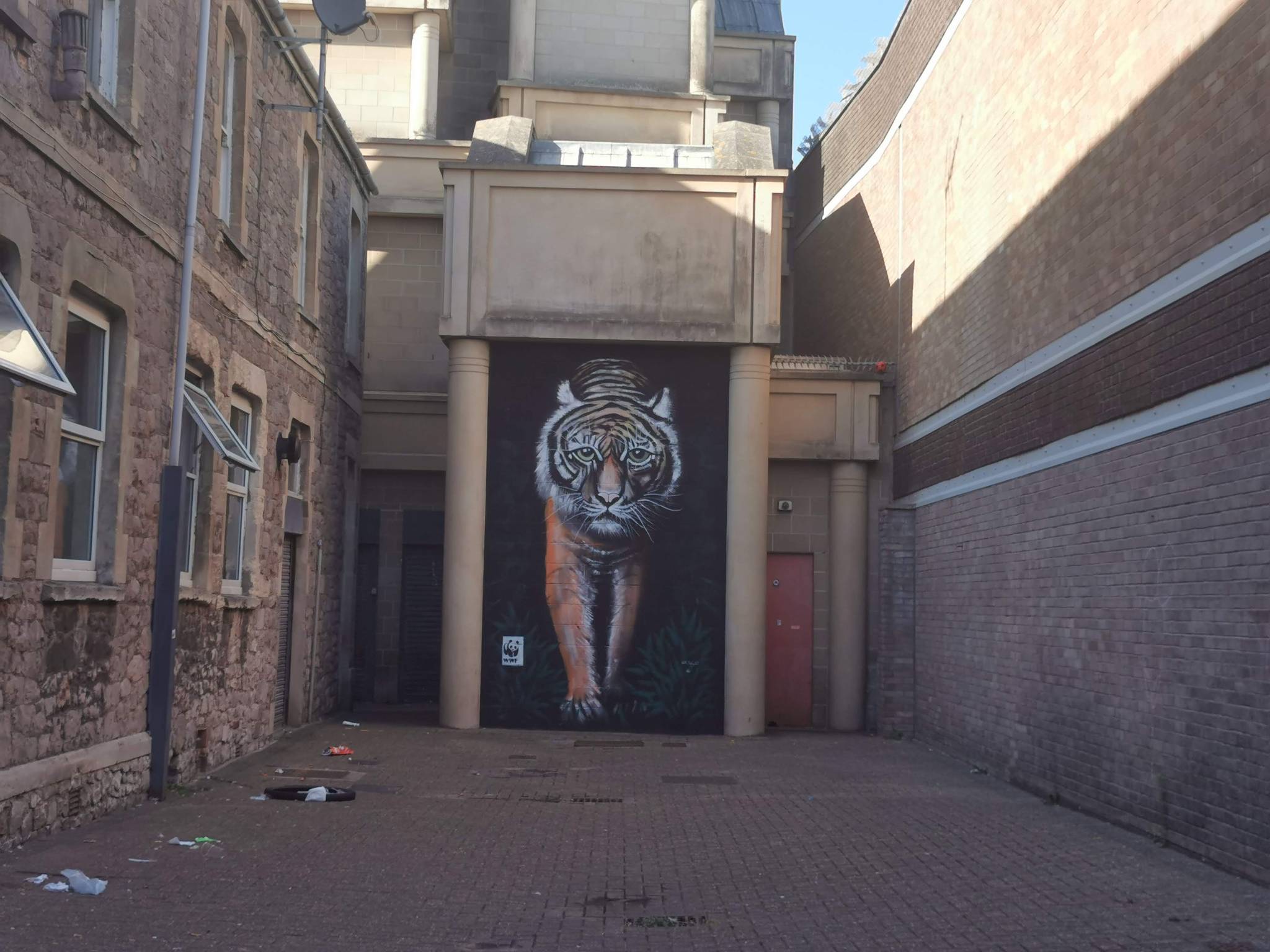 Martin Darcy, Lin Toulcher&mdash;Tiger