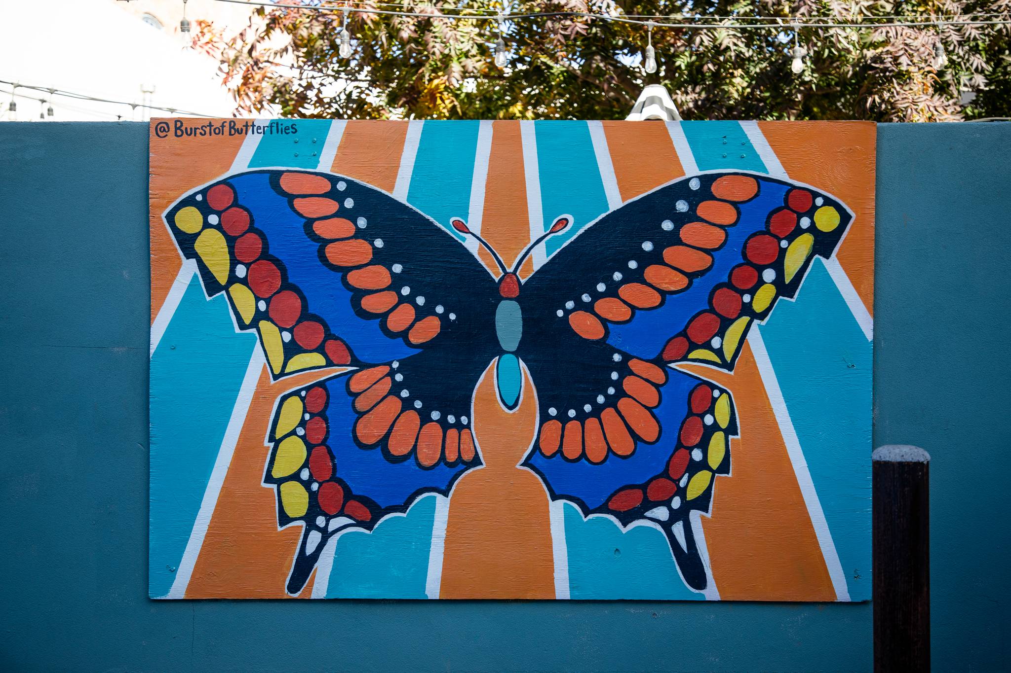Unknown - Phoenix&mdash;Burst of Butterflies