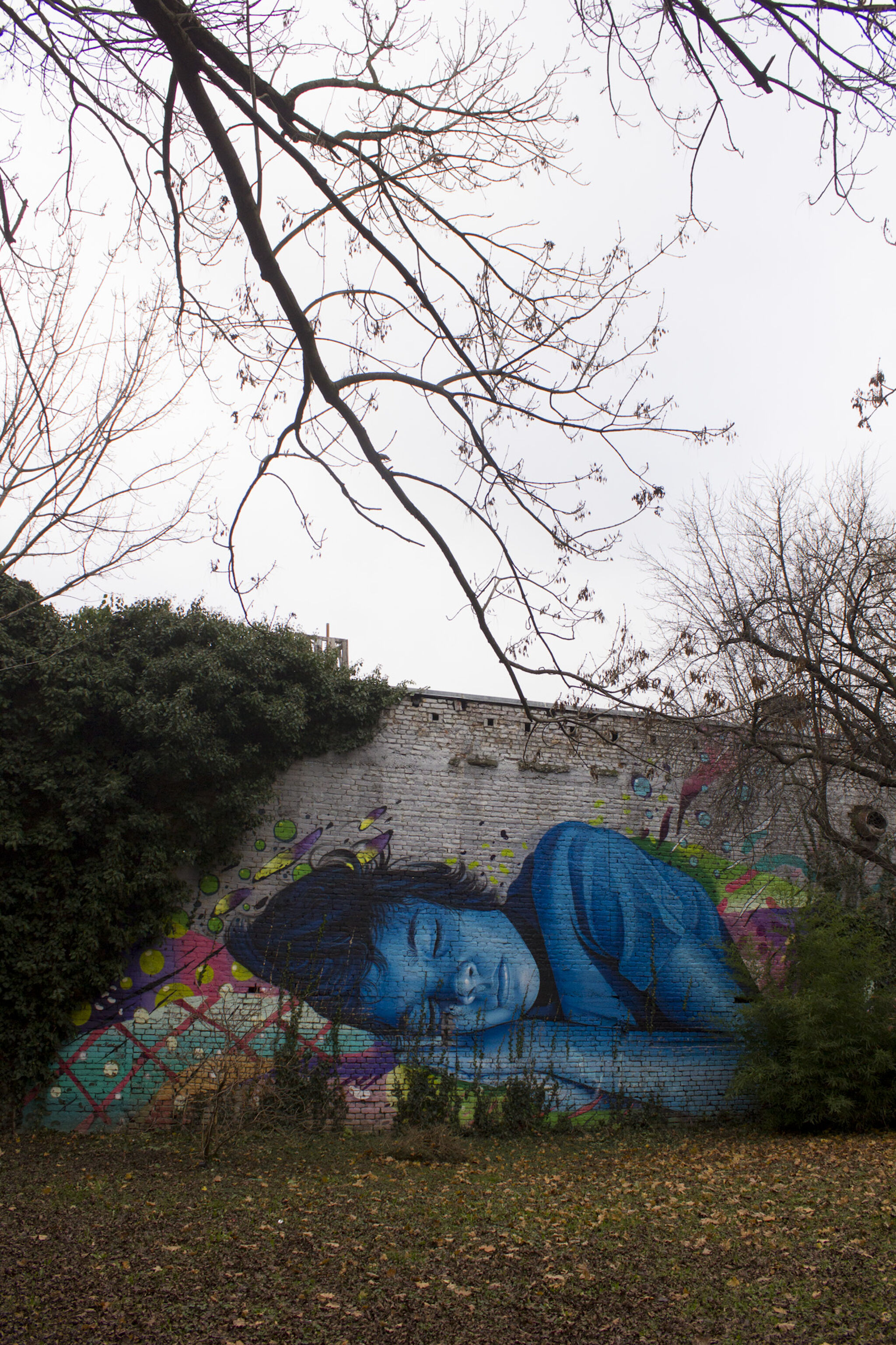 Lonac, Chez186&mdash;Technicolor Dream