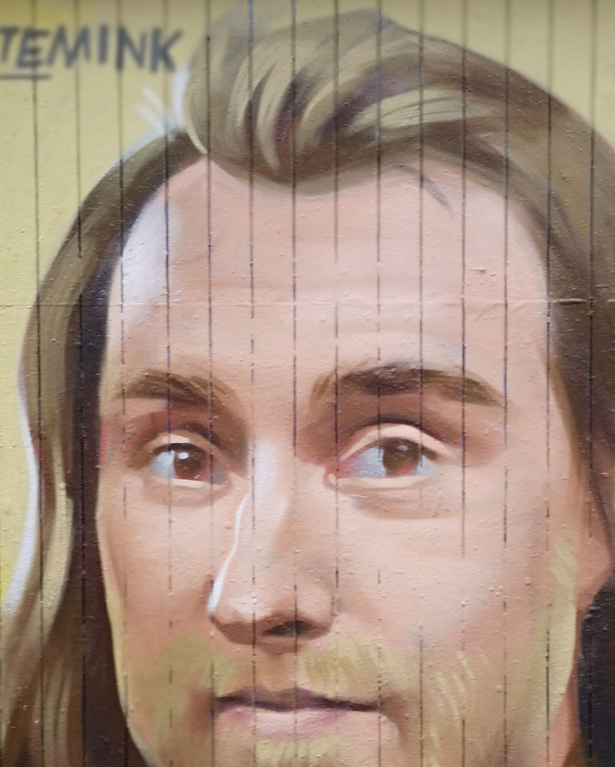 Den sorte mink&mdash;The reborn. Christian Eriksen.
