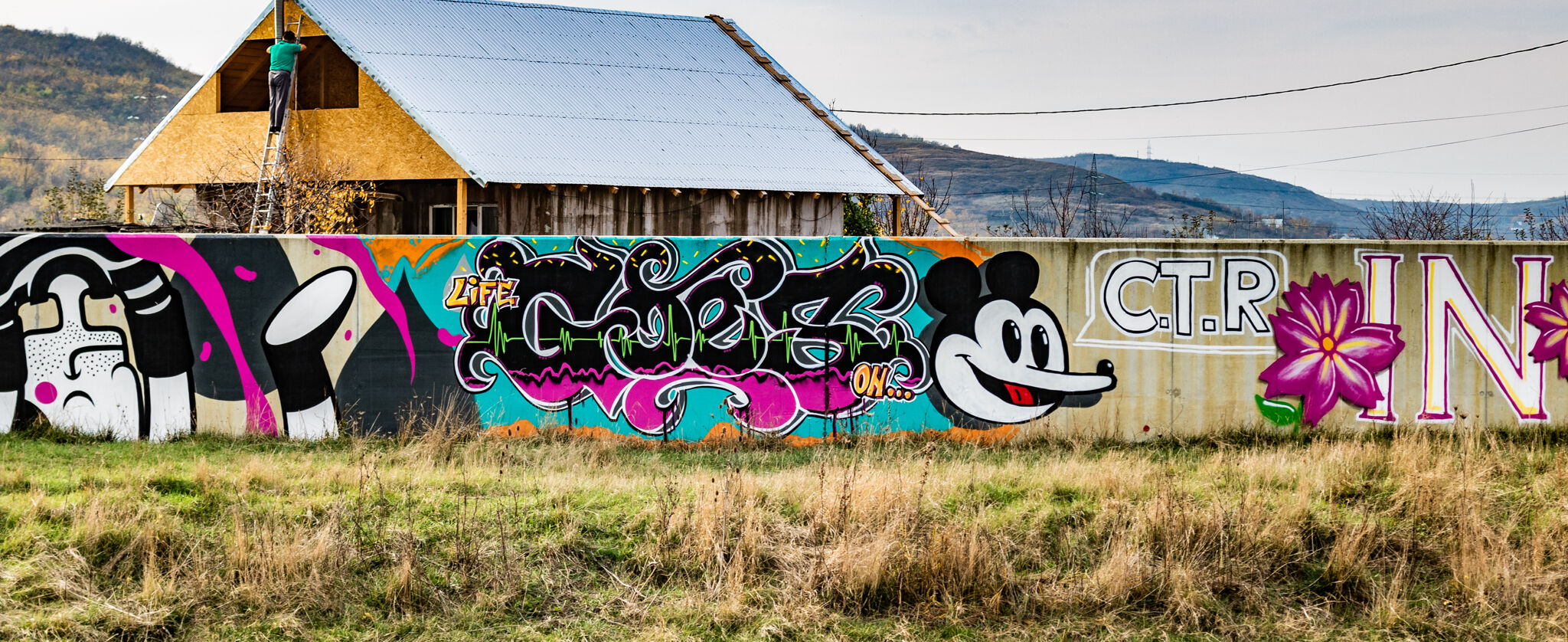 Harcea Pacea, KAPS Crew, RO, Bea Hopes, GRAFO, Mihaela Neli Pavel, Mnec, Snek, Rov, Goes&mdash;InZIDerabilii