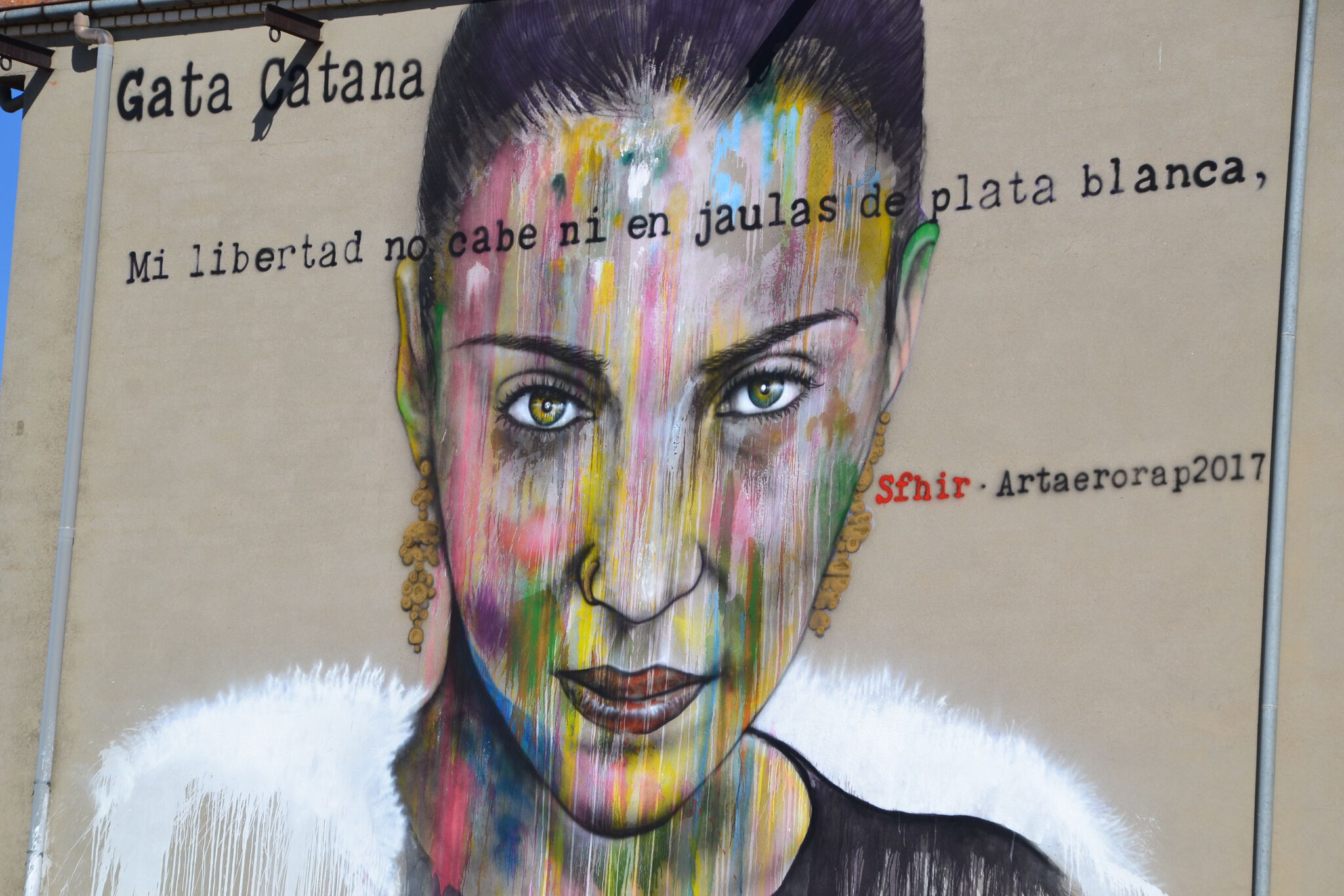 Sfhir&mdash;Gata Catana