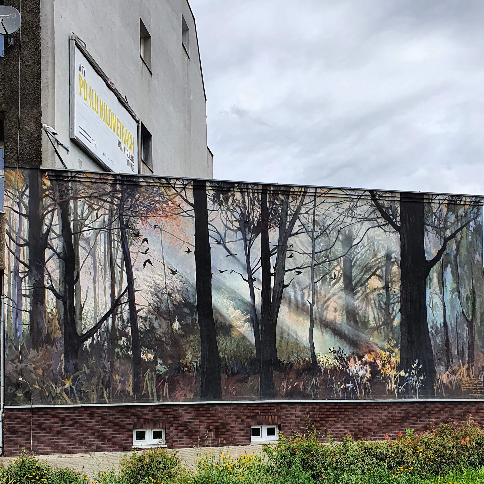 Adam Chmielowiec, Katarzyna Radek, Krystyna Makarevich, Tomasz Wiktor&mdash;Wokół nas las, w duszy gaj - "A forest around us, a grove in the soul"