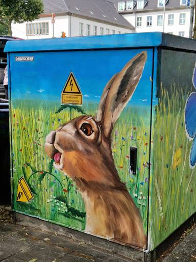Funny rabbit in town