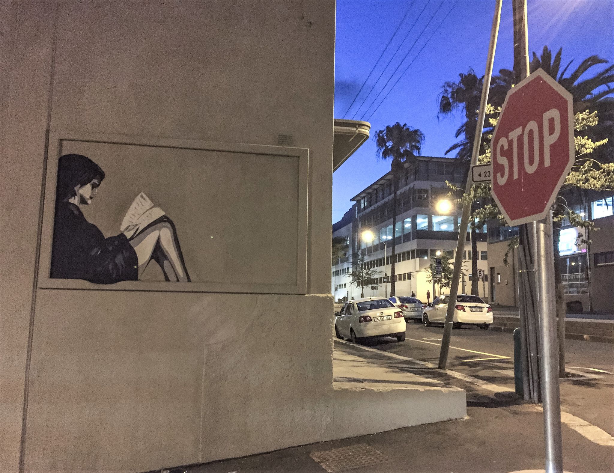 Unknown - Cape Town&mdash;Girl reading a book