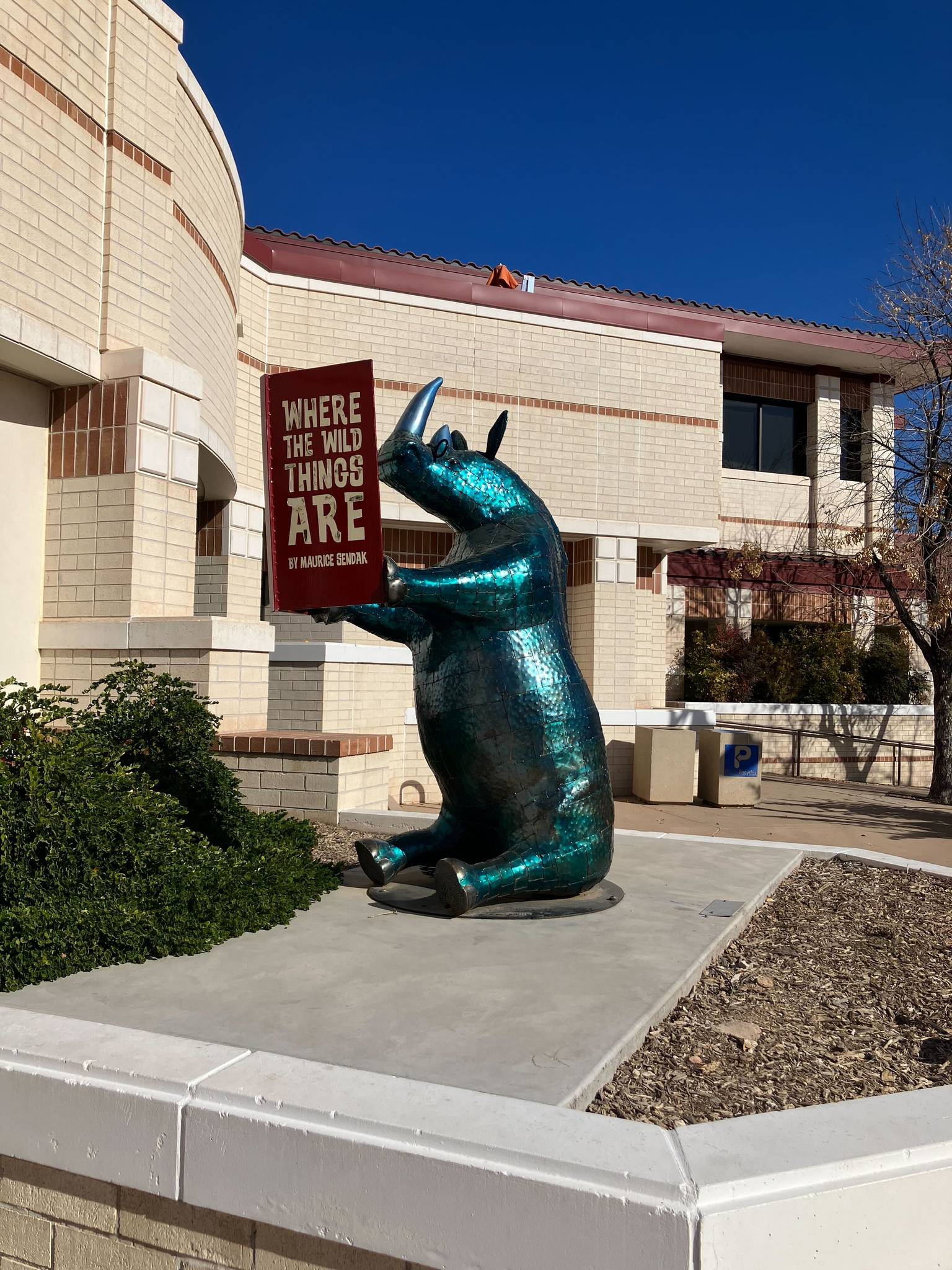 Doug Boyd&mdash;Reading Rhino